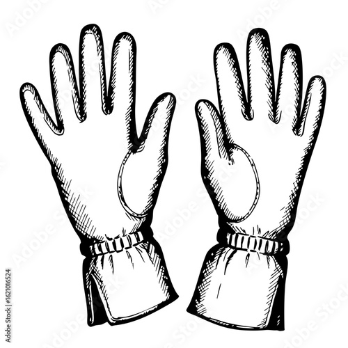 Vintage sketch of a pair of leather gloves in detailed illustration  
