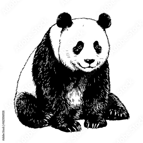 Panda sitting in a vintage sketch style with detailed ink illustration  