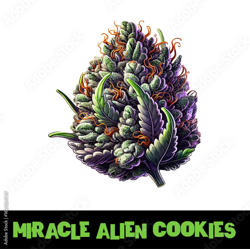 Vector Illustrated Miracle Alien Cookies Cannabis Bud Strain Cartoon