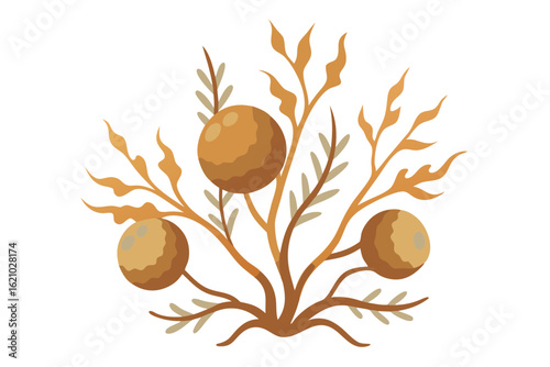 Sargassum Seaweed Floating with Round Air Bladders Vector