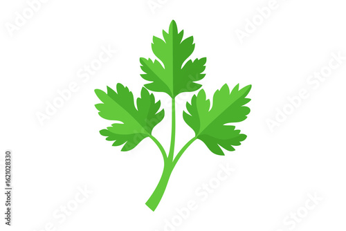 Parsley Karpas Vector Illustration for Passover Meal
