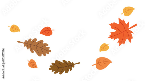 autumn, fall, leaf, leaves, foliage, season, nature, oak, maple, birch, brown, orange, yellow, red, dry, tree, forest, botanical, natural, simple, flat, vector, illustration, cartoon, minimal, design,