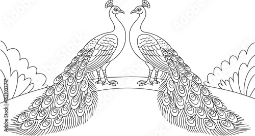 Two peacocks facing each other with detailed feathers in a black and white outline
