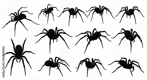 Spider Silhouettes Vector Set
