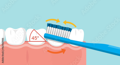 Proper Teeth Brushing Technique And Oral Hygiene Illustration For Dental Care