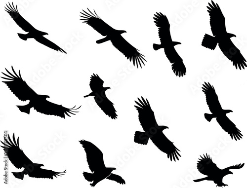11 Clean Eagle Silhouettes in Flying and Perching Poses – Pure Black on White