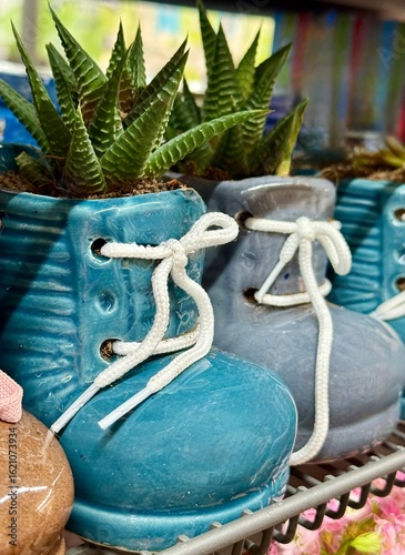 Ceramic pots like baby boots with white shoelaces with a green succulent plant. Home decor items on a shelf. Indoor gardening, quirky plant pots, creative home design, or gift ideas