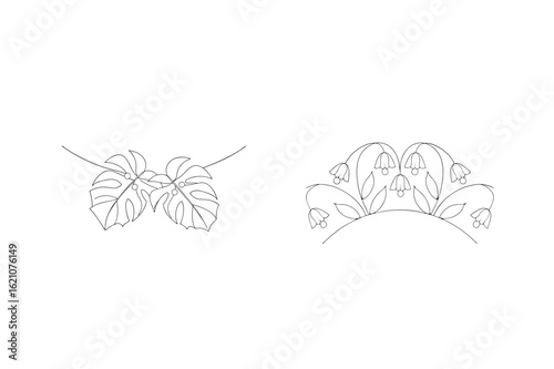 Monstera leaves and bell flowers botanical illustration