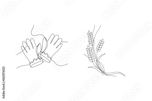 Hands holding wheat stalks grain