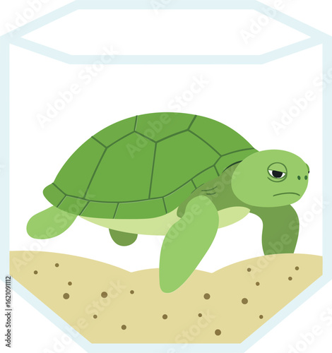 Green turtle swimming inside transparent aquarium with sandy bottom illustration vector design