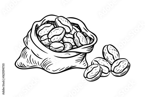 Hand drawn illustration of coffee beans spilling from a sack