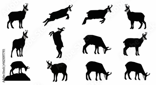 Chamois Silhouettes Vector Set