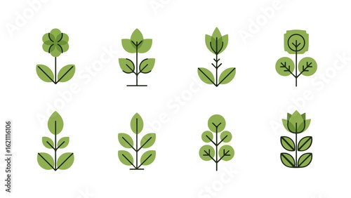 Stylized green plant, flower, and leaf graphic elements for logos and decoration.