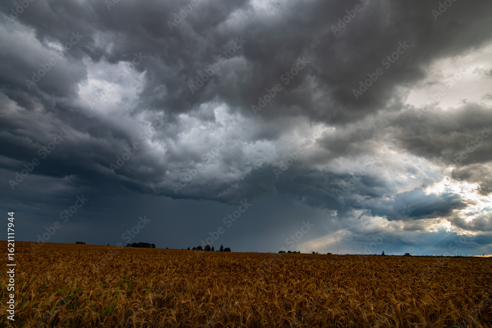 Fototapeta premium WEATHER Dramatic black rain clouds over fields and country road
