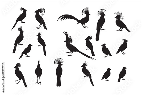A collection of elegant bird silhouettes various poses and sizes shown against a white background