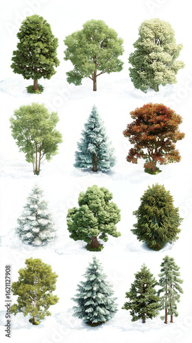 A dynamic series of axonometric tree visualizations, shot from a conceptual bird's eye view. Each tree floats gently, creating a hovering effect without any grounding elements - perfect for schematic 