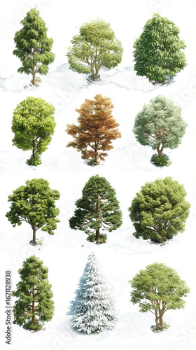 A dynamic series of axonometric tree visualizations, shot from a conceptual bird's eye view. Each tree floats gently, creating a hovering effect without any grounding elements - perfect for schematic 
