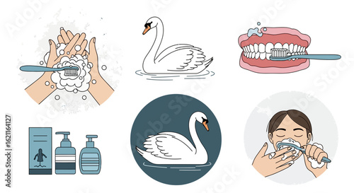 Conceptual Visuals Of Personal Care Practices And Graceful Swan Illustrations