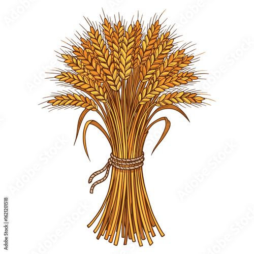 Bundle of golden wheat stalks tied in sheaves with rope