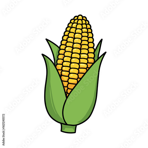 Corn cob in green husks