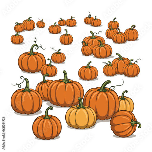 Multiple pumpkins of varying sizes with vines