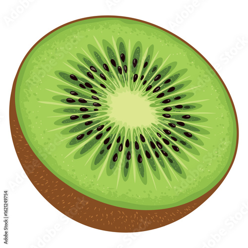 Freshly sliced kiwi fruit cross-section with vibrant green flesh and seeds