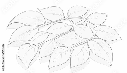 Cluster of leaves on a surface, calm atmosphere, coloring page concept, black and white outline
