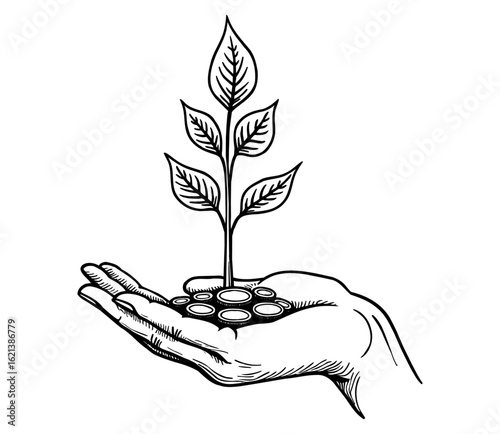 Hand Holding Money Tree