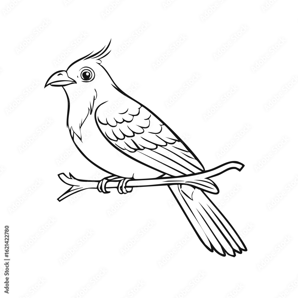 Obraz premium Cartoon Bird Perched on Branch Line Drawing