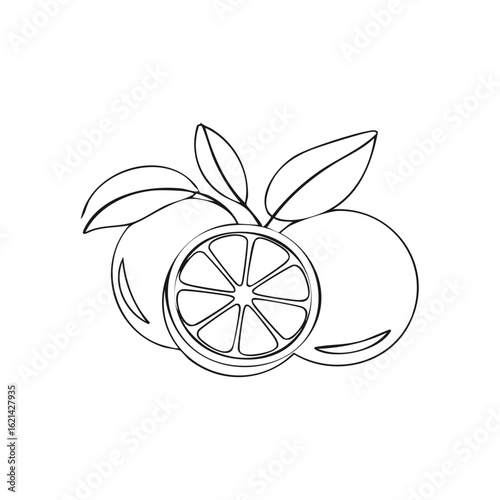 Outline of Oranges with Leaves and Sliced Fruit Design
