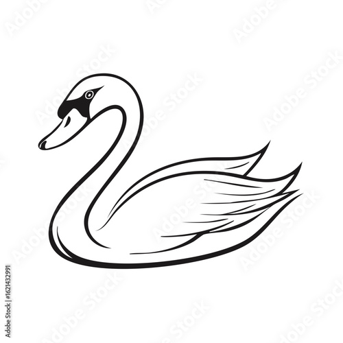 Elegant Black and White Swan Illustration Graceful Bird Silhouette on White