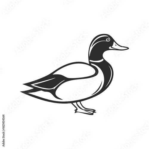 Monochrome Illustration of a Standing Duck with Black Head and White Body