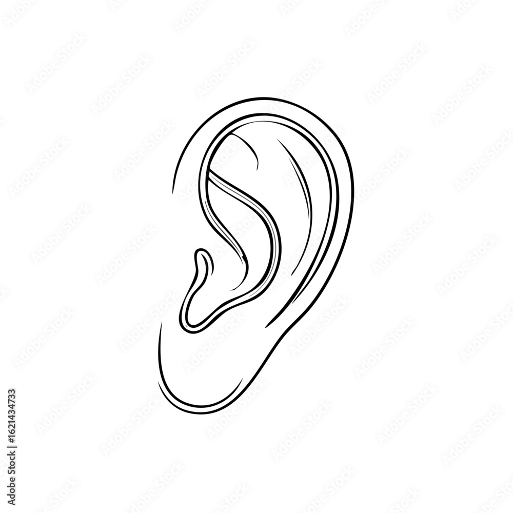 Fototapeta premium Detailed anatomical ear illustration in black outline style, perfect for medical education and scientific research