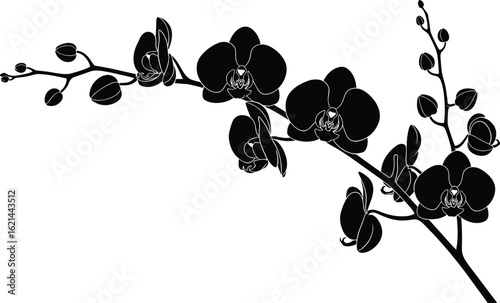 Orchid branch silhouette, blooming flower and bud design, botanical vector art, nature motif, cad drawing flat vector illustration