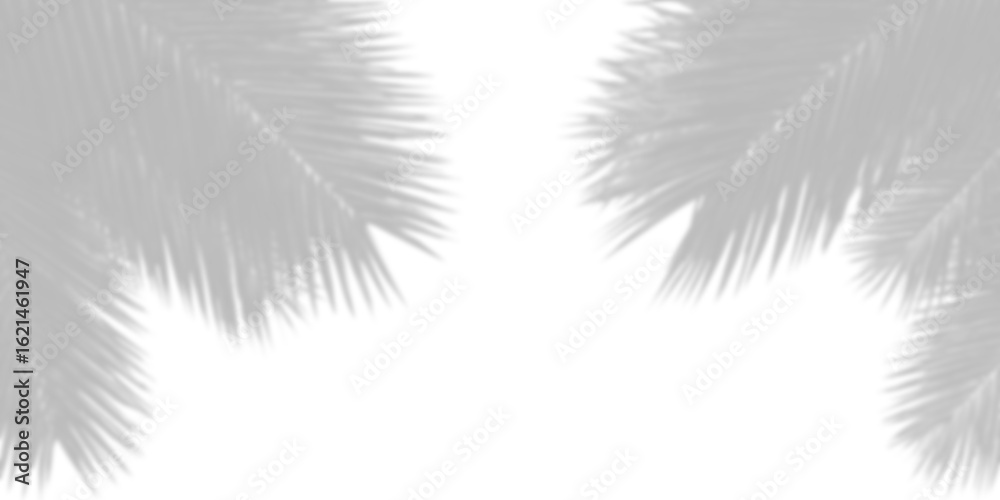 Obraz premium Shadow of tropical leaves on a white background. Overlay effect of realistic leaf shadow isolated on transparent background, png. Mockup shadows