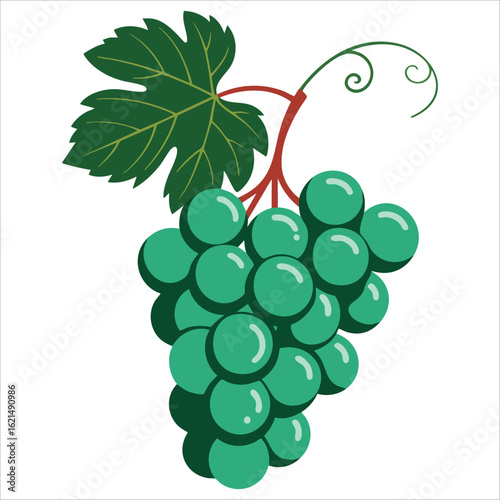 Bunch of grapes flat vector illustration in light turquoise with a brown stem and green leaf isolated on white background ideal for minimalistic fruit designs
