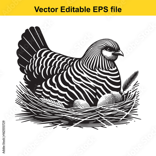 Vector art of stylized chicken in a nest with eggs, isolated on white background