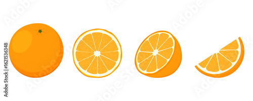 Vector illustration set of orange fruit: whole, half, slice, and wedge. Perfect for juice packaging, healthy food design, summer recipes, kitchen decor, and nutrition concepts.