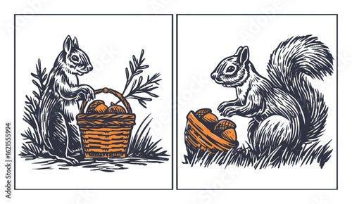 Two Illustrations of Squirrel Carrying Basket with Nuts in Natural Setting