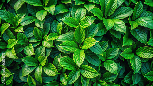 Wallpaper Mural A dense collection of vibrant green leaves filling the frame in a visually appealing arrangement Torontodigital.ca