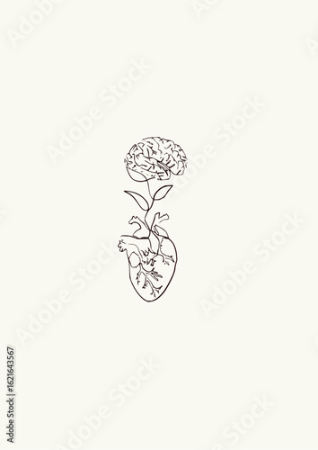 Illustration of a heart with a stem leading to a brain at the top in black and white outline