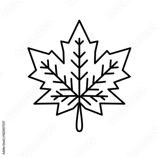 Sketch illustration of maple tree leaves, use it as an icon, logo or sticker will look wild ordinary.
