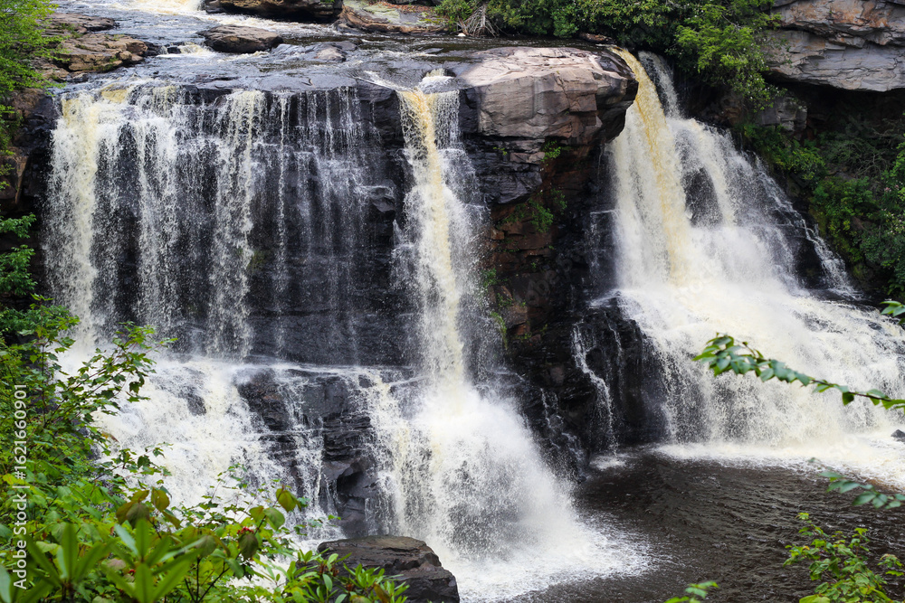 Fototapeta premium Scenic View of Blackwater Falls in West Virginia's Allegheny Mountains