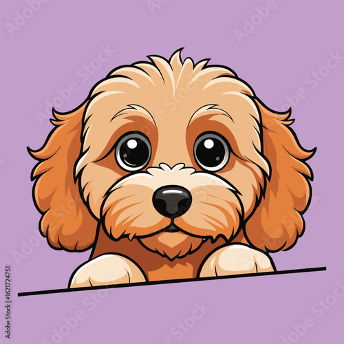 Peeking Cavapoo Poses dog