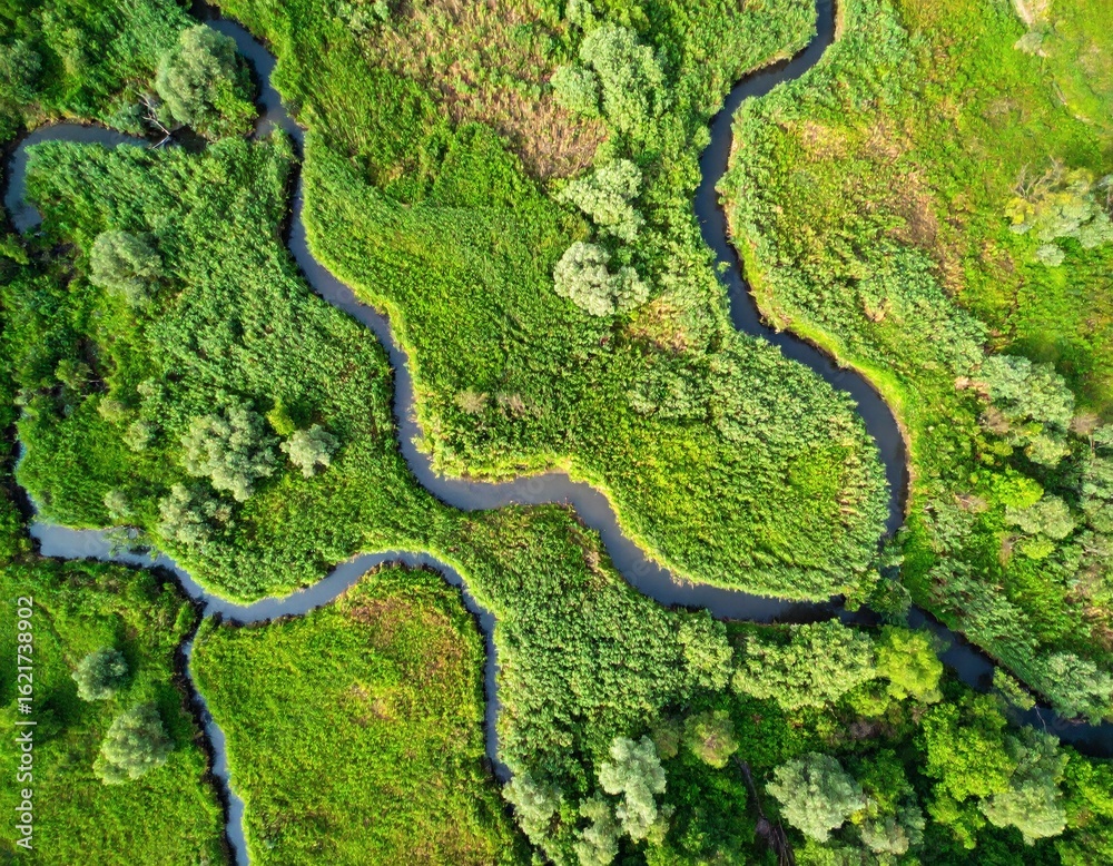 Fototapeta premium Aerial view of a winding river flowing through a lush green landscape, surrounded by vegetation and trees.