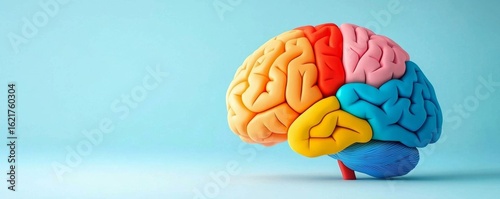Exploring the connection between brain regions and emotional well-being.