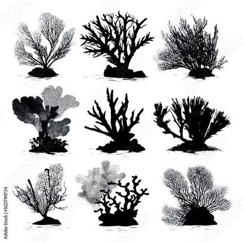 vector illustration of coral reef silhouette set, Black & White silhouette set