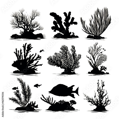 vector illustration of coral reef silhouette set, Black & White silhouette set