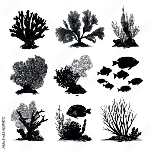 vector illustration of coral reef silhouette set, Black & White silhouette set