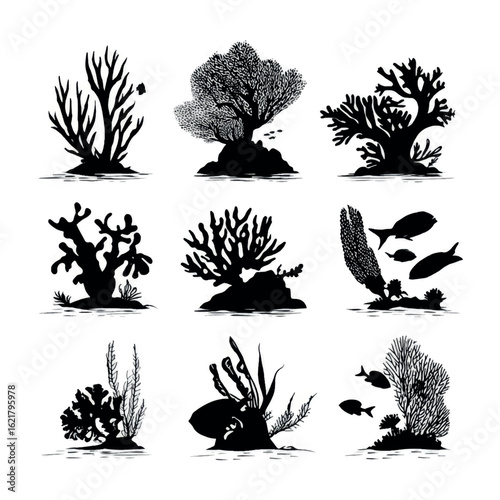 vector illustration of coral reef silhouette set, Black & White silhouette set